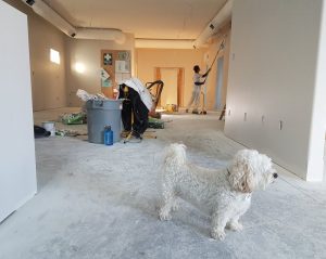 on going home remodeling