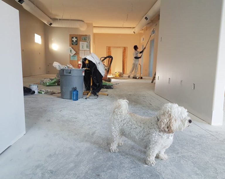 on going home remodeling