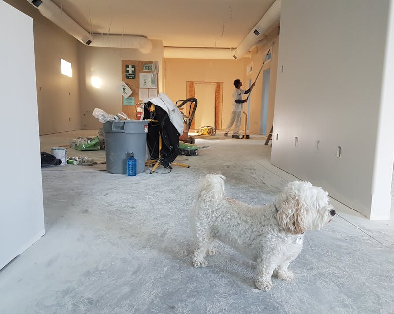 on going home remodeling